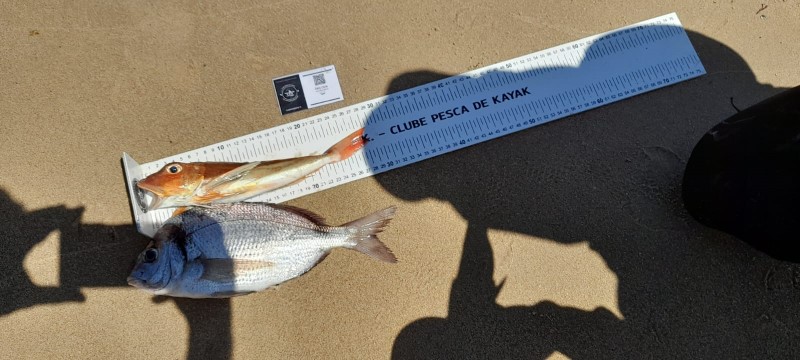 Fish Measure Picture